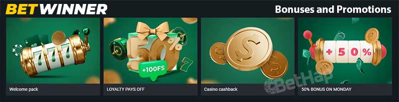 The Thrills of Sports Betting Strategies and Insights