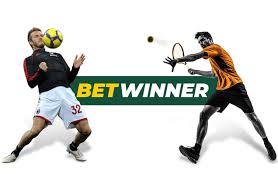 Everything You Need to Know About BetWinner App