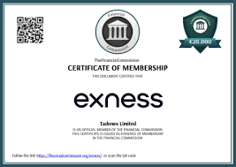 Comprehensive Exness Broker Review Your Guide to Trading Success Comprehensive Exness Broker Review Your Guide to Trading Success