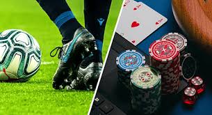 Why Betwinner is Your Go-To Betting Platform